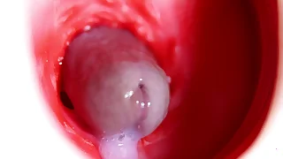 Nice big hound slides inside best friend's appealing shiny hole&excl;